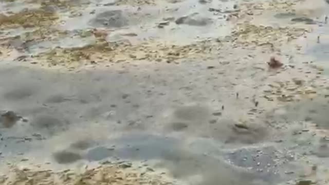 Hurricane Irma Leaves Bahamas Beach Without Water