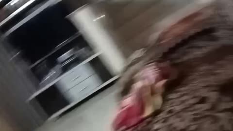 Bas