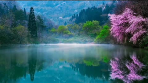 Nature beauty 🌼
