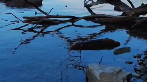 Natural scenery
