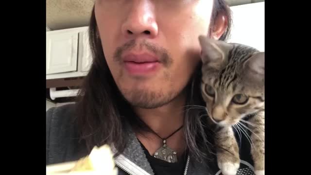 Cat sits on his owner's shoulder while he eats food