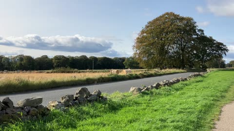 Oct 2023 hay bales ScotGov want whiskey