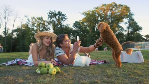 Happy young couple on picnic resting playing with dog and rabbit, slow motion