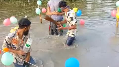 Funny videos