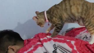 Man Gets a Friendly Massage from a Feline