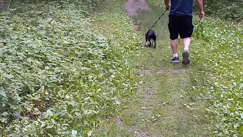 hiking,Scott County Park