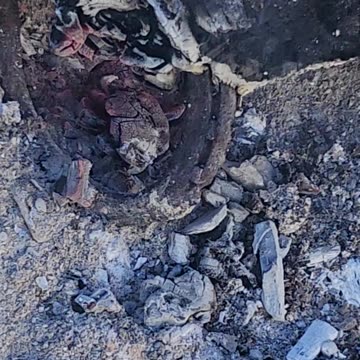 Flock it Farm: Lucky Flocking day