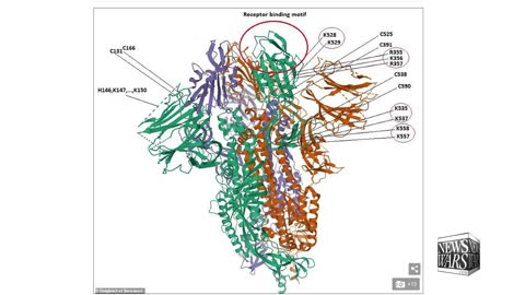 Covid Facts Expose The Big Lie of CDC
