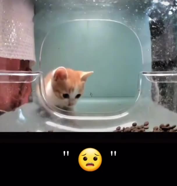 Hate when you haven’t finished one plate yet