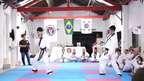 Hapkido