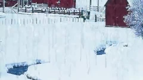 This is the winter in the fairy tale