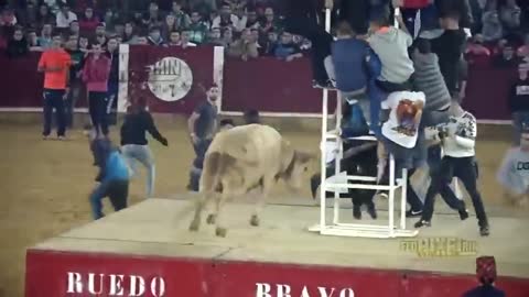 Dangerous Bull Fight Accidents Compilation 2018 Lu(480P).mp4