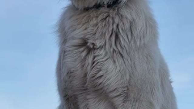 People live, must be into the play