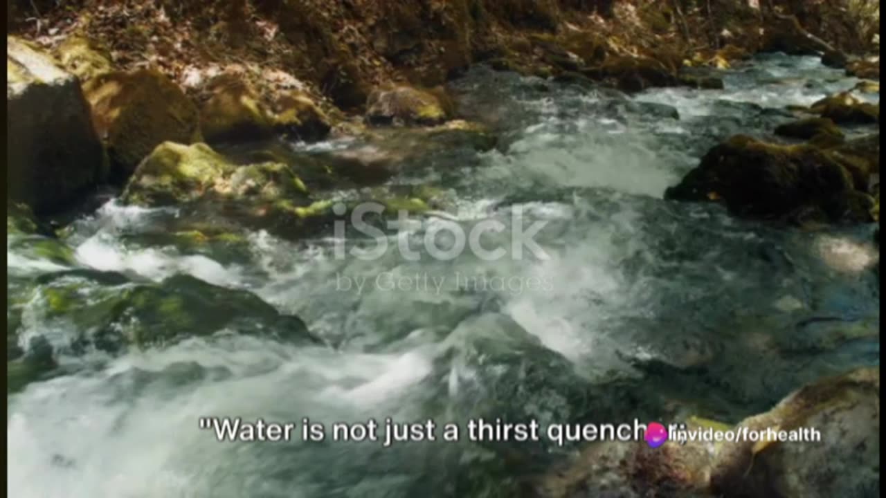 Water: The Essential Elixir of Life
