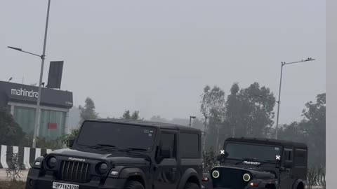 Thar lover