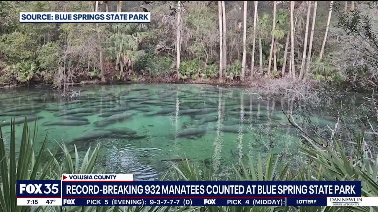 932 Manatee record-breaking count