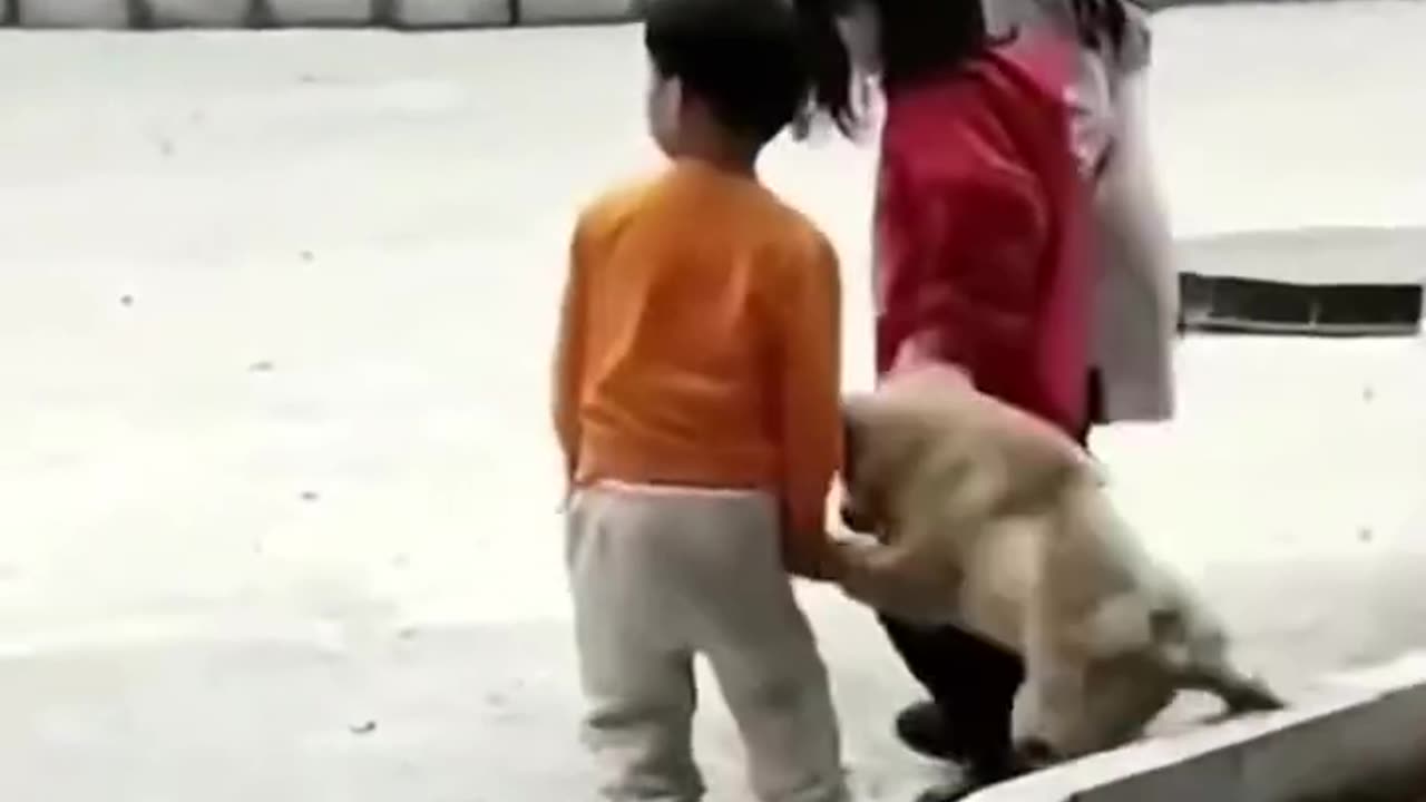 Humanity in this earth