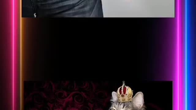 Which gift box you want video