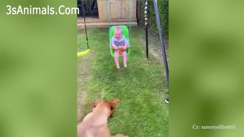 Squirrel RESCUE Turned ATTACK! 😂 | AFV 2021