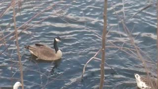 Current view Feb 25th 2pm EST