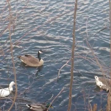 Current view Feb 25th 2pm EST