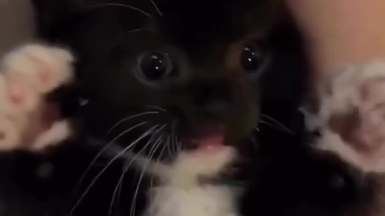 Video no. 142 you get a surprise in one of our videos stay tuned