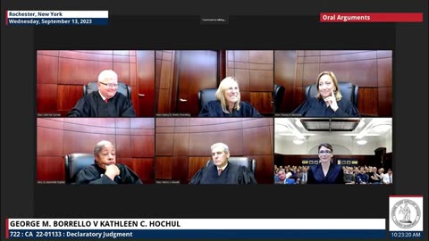 Attorney Cox presents Oral Arguments in the "Quarantine" Lawsuit Appeal ~ BORRELLO v. HOCHUL |