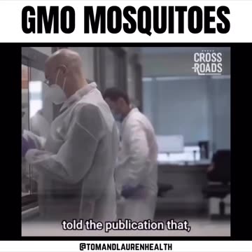 Team Evil Strikes! Beasts of The Field!