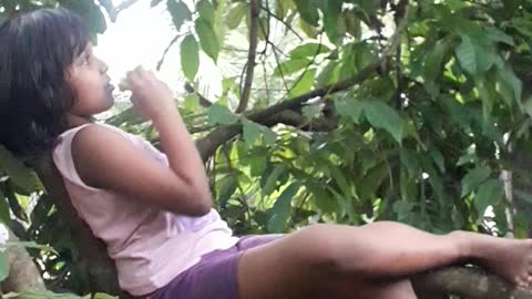 Girl sitting on a tree