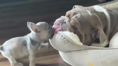 Think of a good nap 👅🤣