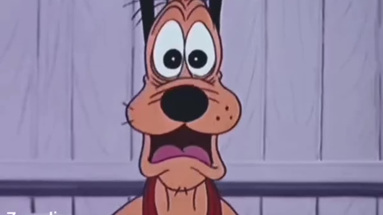 Cartoons