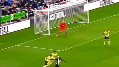 Rare football goals