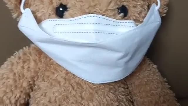Teddy bear wears mask, too.
