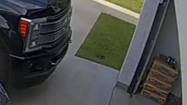 Cggggg