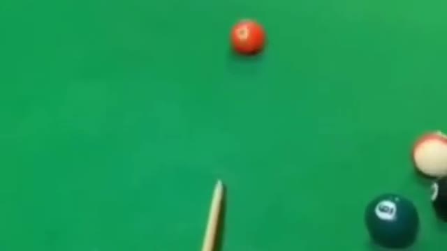 Funny Cat Video