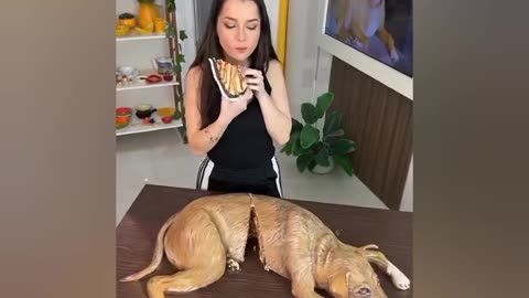 Minha vira-lata caramelo virou bolo 😅 #pets #cake