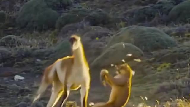 It's a real natural world