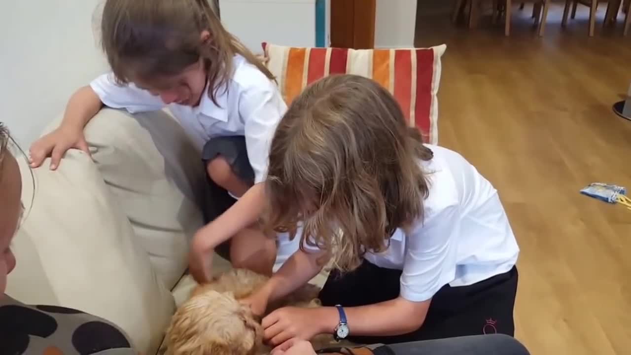 Sisters emotional after new puppy surprise