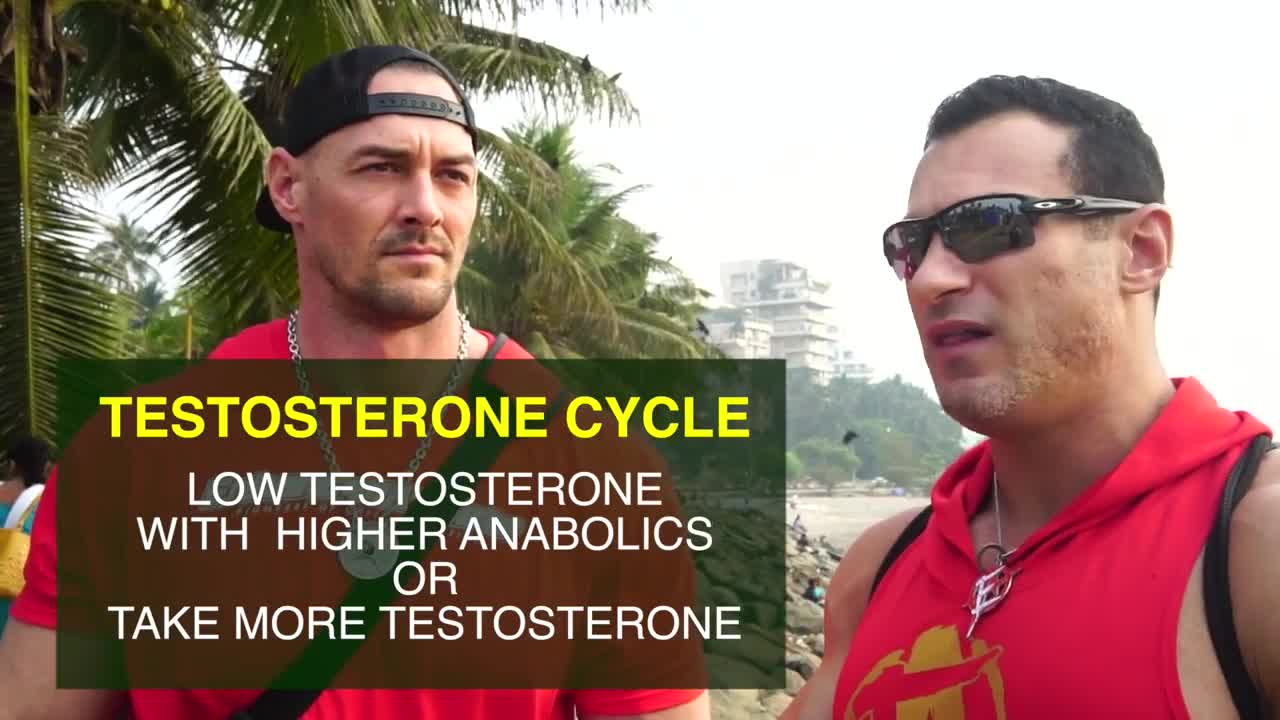 Testosterone Centric Cycle - Tony Huge & Aaron Reed