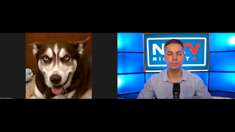 Gene Decode Discusses Latest Updates with Nicholas Veniamin