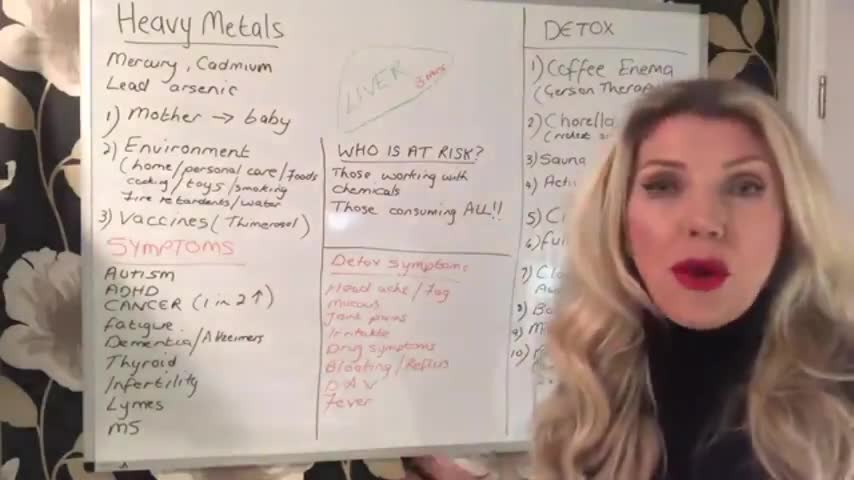 KATE SHEMIRANI NATURAL NURSE IN A TOXIC WORLD: HEAVY METAL DETOX