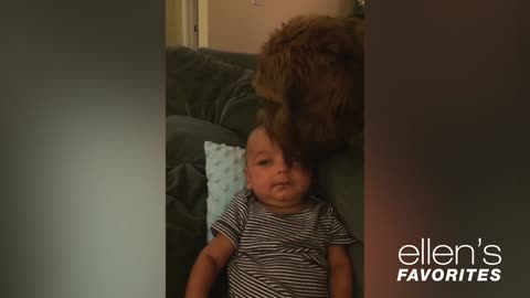 Dog lovingly plays with baby in the crib