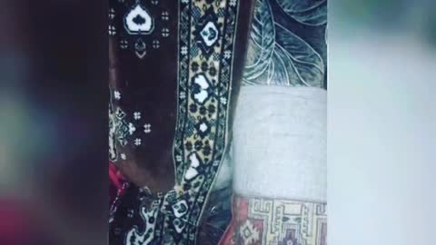 My beloved cat Thomas loves to play and find a house for himself.