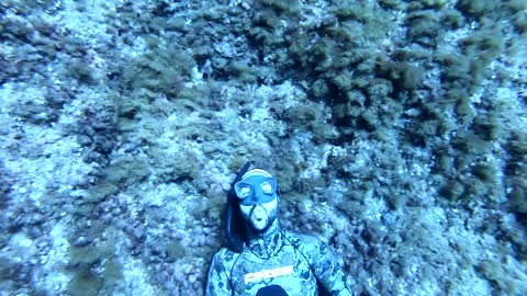 Freediver Blows Some Bubbles