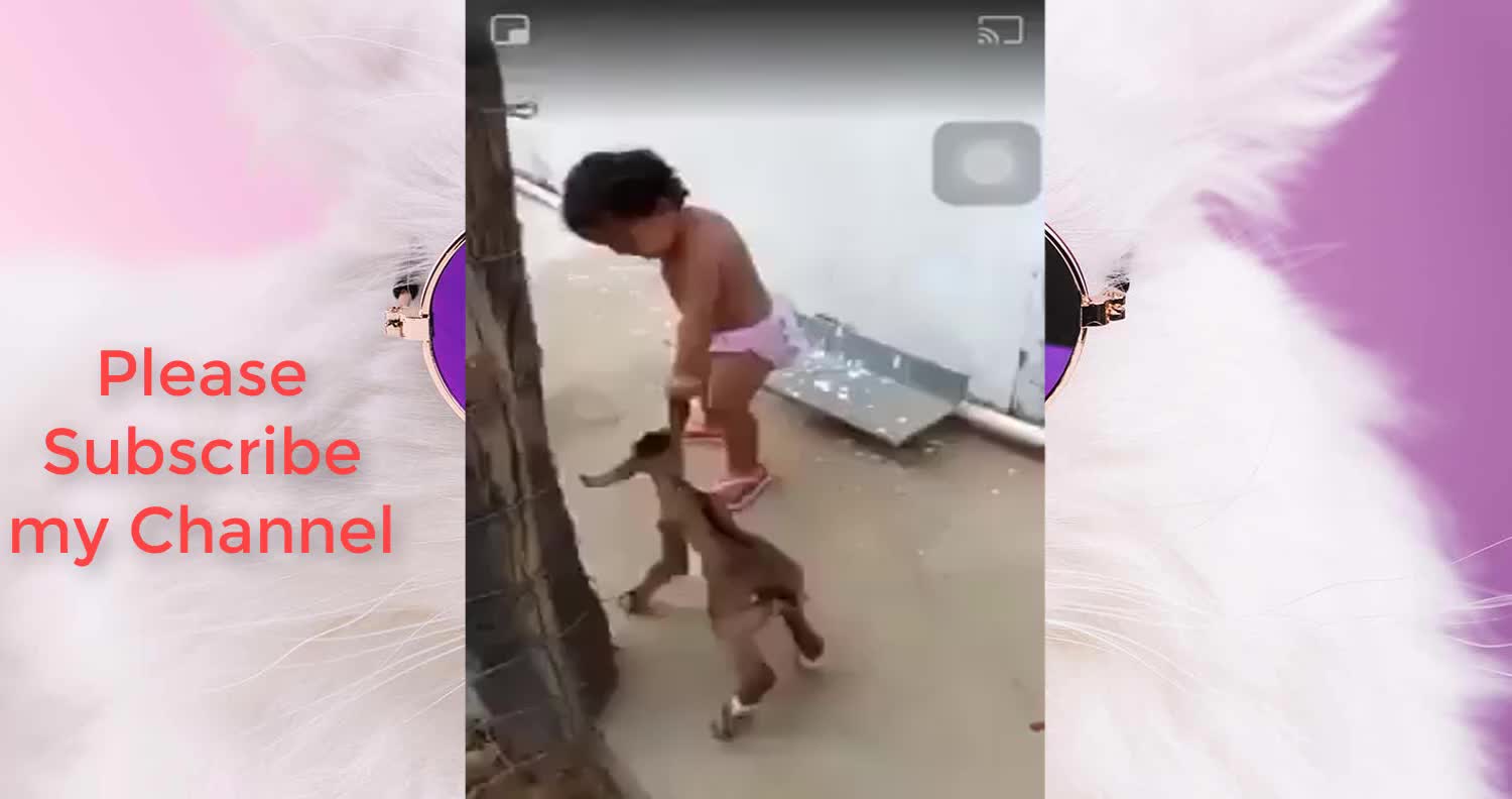 Baby vs Goat | Funny video