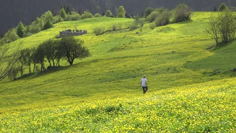 A lonely woman walk in a green valley