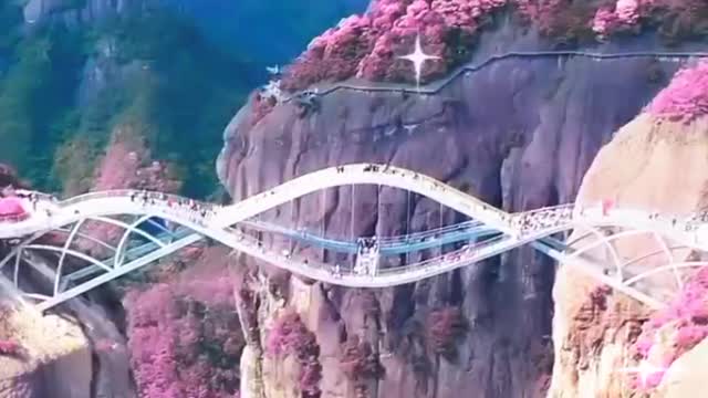 stroll over magnificent and different bridge