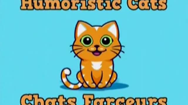 Humoristic Cats š¹ Chats Farceurs - n°90 #Shorts