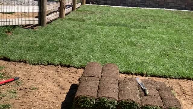 Half way on the sod work from Ground level