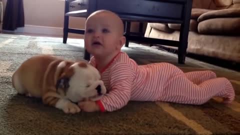 cute babies with dogs